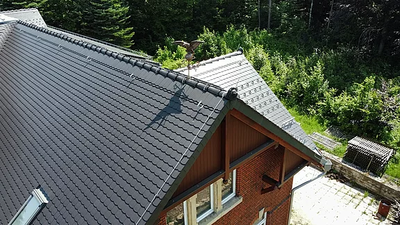 Dach mit dekorativem Greifvogel als Blickfang